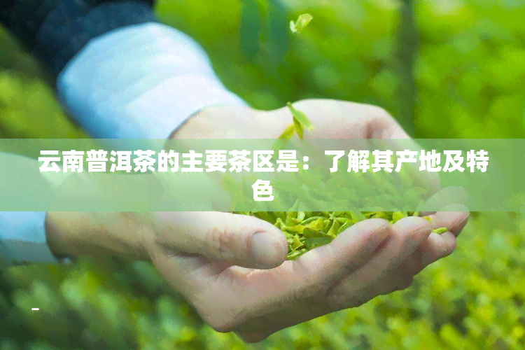 云南普洱茶的主要茶区是：了解其产地及特色