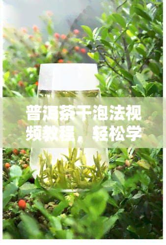 普洱茶干泡法视频教程，轻松学会普洱茶干泡法！视频教程教你简单泡出美味茶香