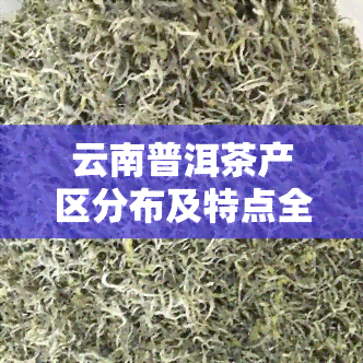 云南普洱茶产区分布及特点全解析