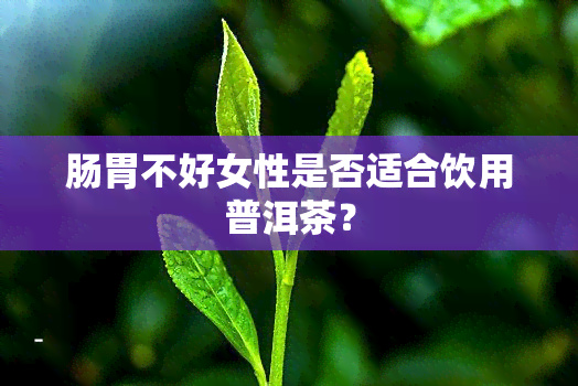 肠胃不好女性是否适合饮用普洱茶？