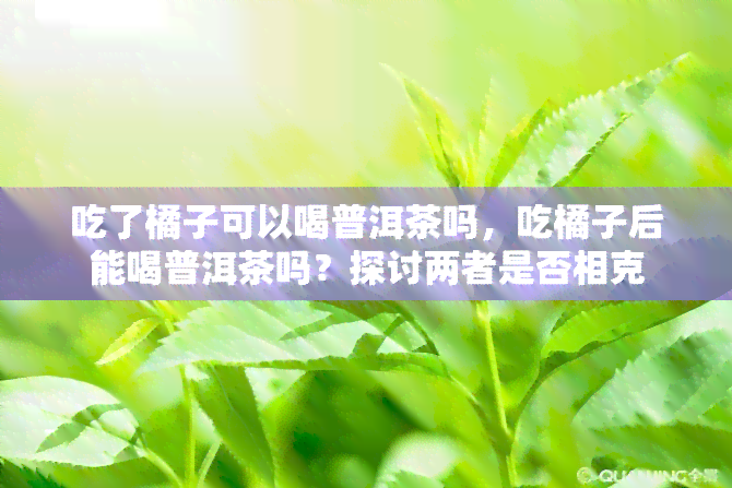 吃了橘子可以喝普洱茶吗，吃橘子后能喝普洱茶吗？探讨两者是否相克