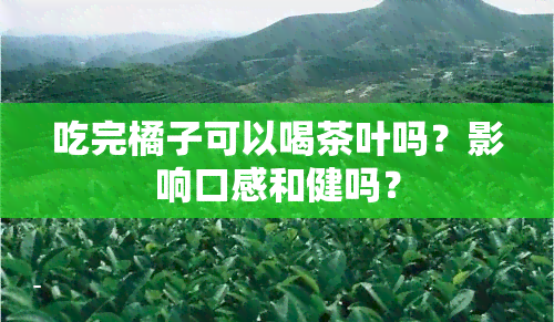 吃完橘子可以喝茶叶吗？影响口感和健吗？