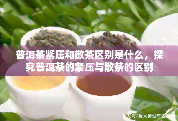 普洱茶紧压和散茶区别是什么，探究普洱茶的紧压与散茶的区别