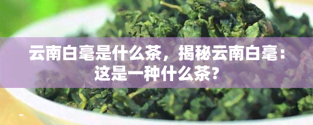 云南白毫是什么茶，揭秘云南白毫：这是一种什么茶？