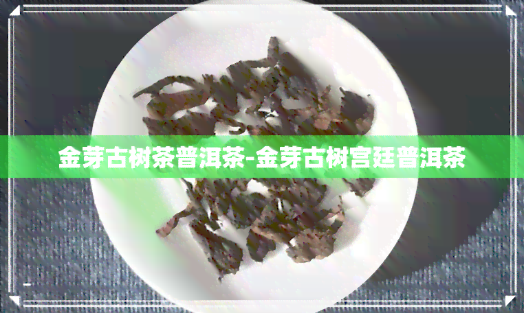 金芽古树茶普洱茶-金芽古树宫廷普洱茶