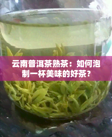 云南普洱茶熟茶：如何泡制一杯美味的好茶？