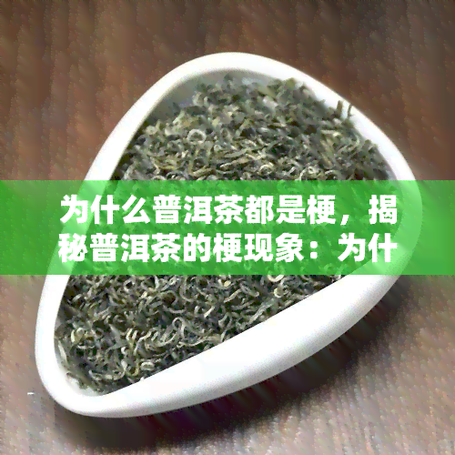 为什么普洱茶都是梗，揭秘普洱茶的梗现象：为什么普洱茶都被认为是梗？