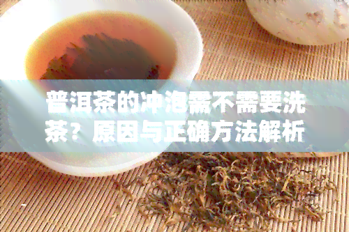 普洱茶的冲泡需不需要洗茶？原因与正确方法解析