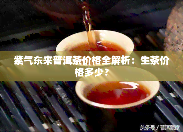 紫气东来普洱茶价格全解析：生茶价格多少？