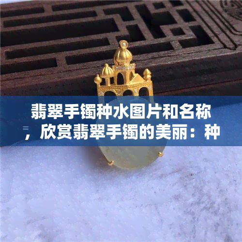 翡翠手镯种水图片和名称，欣赏翡翠手镯的美丽：种水图片与详细名称解析