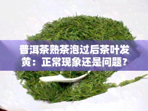 普洱茶熟茶泡过后茶叶发黄：正常现象还是问题？