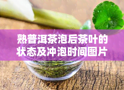 熟普洱茶泡后茶叶的状态及冲泡时间图片解析