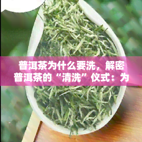 普洱茶为什么要洗，解密普洱茶的“清洗”仪式：为何要进行洗茶步骤？