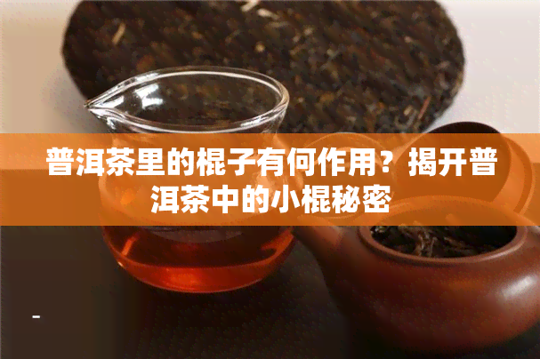 普洱茶里的棍子有何作用？揭开普洱茶中的小棍秘密