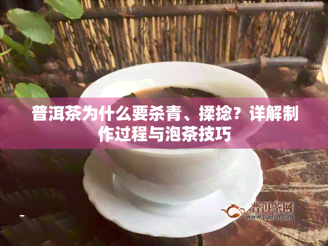 普洱茶为什么要杀青、揉捻？详解制作过程与泡茶技巧