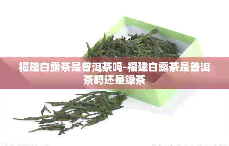 福建白露茶是普洱茶吗-福建白露茶是普洱茶吗还是绿茶