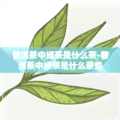 普洱茶中绿茶是什么茶-普洱茶中绿茶是什么茶类