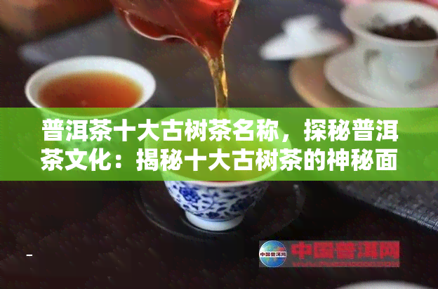 普洱茶十大古树茶名称，探秘普洱茶文化：揭秘十大古树茶的神秘面纱