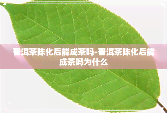 普洱茶陈化后能成茶吗-普洱茶陈化后能成茶吗为什么