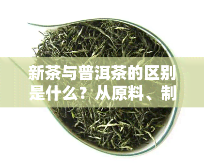 新茶与普洱茶的区别是什么？从原料、制作工艺到口感全方位解析