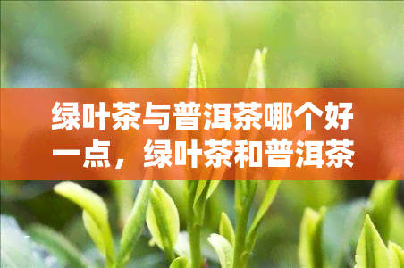 绿叶茶与普洱茶哪个好一点，绿叶茶和普洱茶：哪个更适合你？