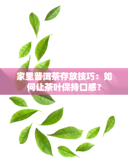 家里普洱茶存放技巧：如何让茶叶保持口感？