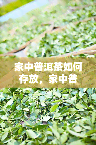 家中普洱茶如何存放，家中普洱茶的正确存放方法