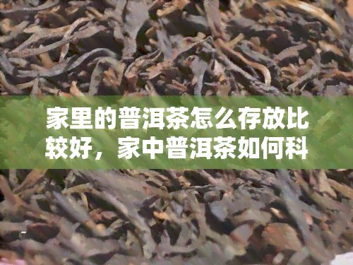 家里的普洱茶怎么存放比较好，家中普洱茶如何科学保存？这份指南告诉你