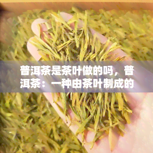 普洱茶是茶叶做的吗，普洱茶：一种由茶叶制成的饮品？