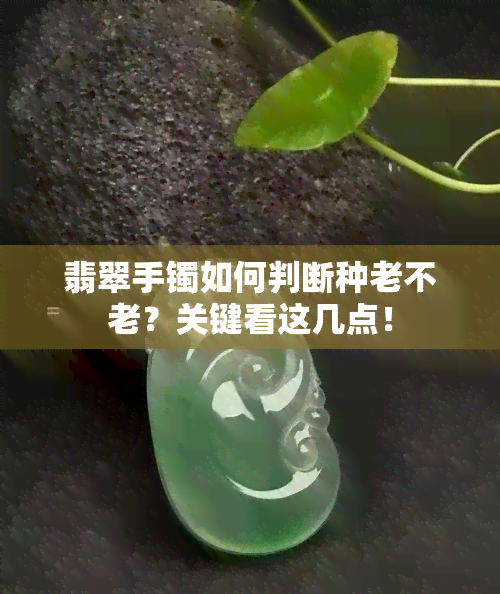 翡翠手镯如何判断种老不老？关键看这几点！