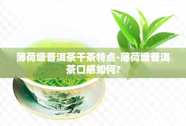 薄荷塘普洱茶干茶特点-薄荷塘普洱茶口感如何?