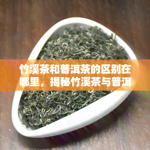 竹溪茶和普洱茶的区别在哪里，揭秘竹溪茶与普洱茶的不同之处