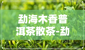 勐海木香普洱茶散茶-勐海木普洱茶价格