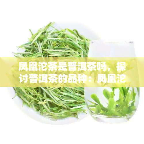 凤凰沱茶是普洱茶吗，探讨普洱茶的品种：凤凰沱茶，它究竟是不是普洱茶？