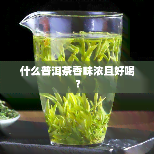 什么普洱茶香味浓且好喝？