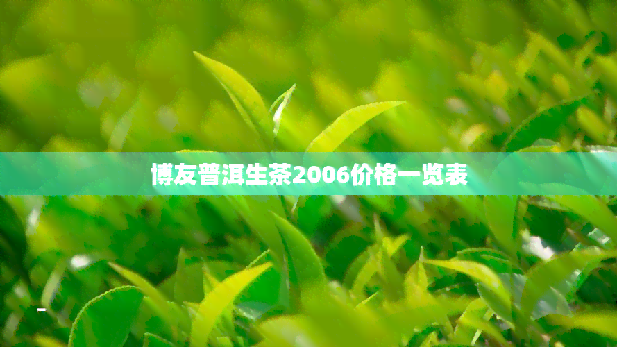 博友普洱生茶2006价格一览表