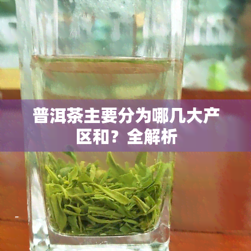 普洱茶主要分为哪几大产区和？全解析