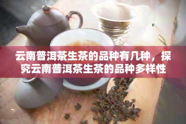 云南普洱茶生茶的品种有几种，探究云南普洱茶生茶的品种多样性