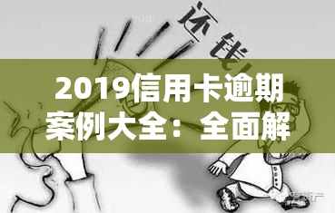 2019信用卡逾期案例大全：全面解析与最新更新