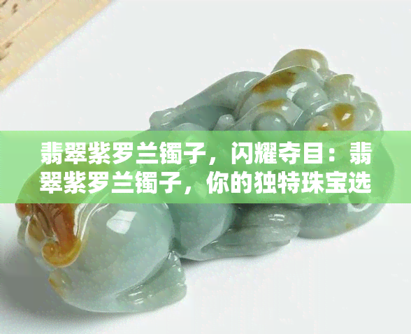 翡翠紫罗兰镯子，闪耀夺目：翡翠紫罗兰镯子，你的独特珠宝选择