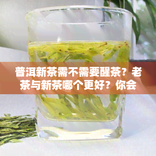 普洱新茶需不需要醒茶？老茶与新茶哪个更好？你会醒茶吗？