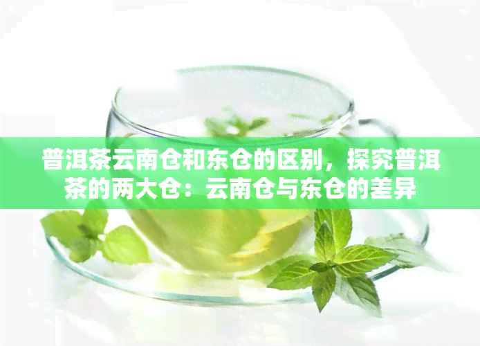 普洱茶云南仓和东仓的区别，探究普洱茶的两大仓：云南仓与东仓的差异