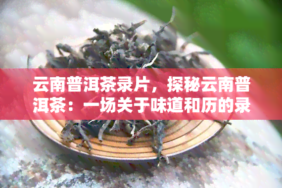 云南普洱茶录片，探秘云南普洱茶：一场关于味道和历的录片之旅