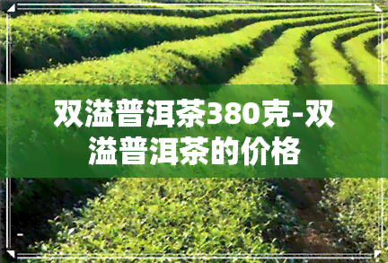 双溢普洱茶380克-双溢普洱茶的价格