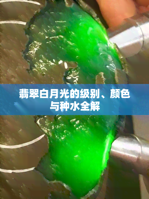 翡翠白月光的级别、颜色与种水全解