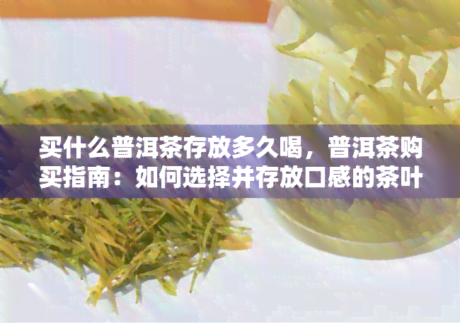 买什么普洱茶存放多久喝，普洱茶购买指南：如何选择并存放口感的茶叶？