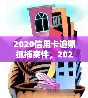 2020信用卡逾期抓捕案件，2020年信用卡逾期案件引发警方大规模抓捕行动