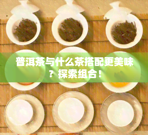 普洱茶与什么茶搭配更美味？探索组合！