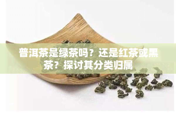 普洱茶是绿茶吗？还是红茶或黑茶？探讨其分类归属