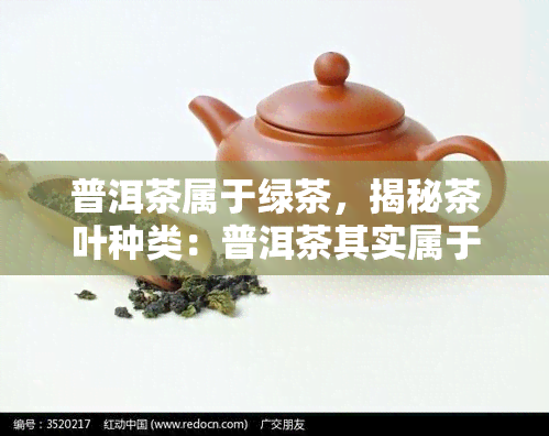 普洱茶属于绿茶，揭秘茶叶种类：普洱茶其实属于绿茶！